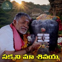 Sakkani Ma Sivaya - Single - Venky singer