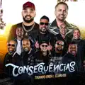 Consequências