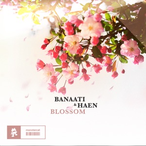 Blossom - EP