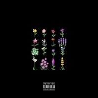 FLEXXX007 (feat. Crema007 & FLEXXXBOYY) - Single - Davidflo