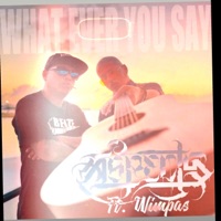 What Ever You Say (feat. Wimpas) - Single - Aspects