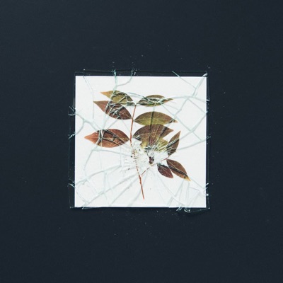 Призраки прошлого - Single