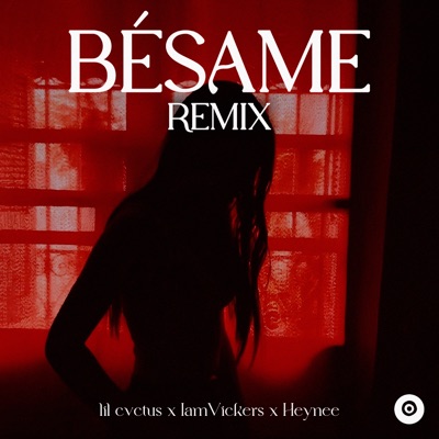 Bésame (Remix) - Single