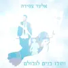 אלעד צפירה - ושבו בנים לגבולם