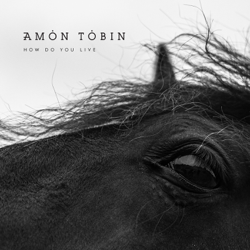 How Do You Live - Amon Tobin Cover Art