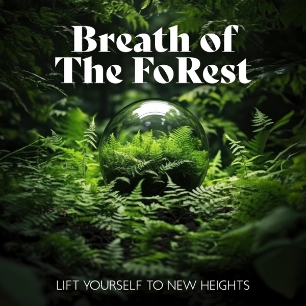 Silently: Buddha Meditative Music, Tibetan Flute, And Nature Sounds for Discovering Balance and Insight