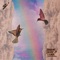 Rainbow Inside a Cloud - Sarah, the Illstrumentalist lyrics