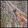 Bar on a Mars - Single