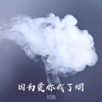 因为爱你戒了烟 - Single - Qi Long