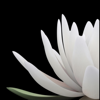 Wahe Guru For Sodarshan Chakra Kriya - Gurucharan Khalsa & Gurusangat Singh