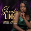 Sneaky Link
