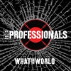 What in the World - The Professionals