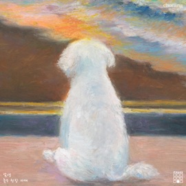 Resonance of the Coffeshop (feat. namsang) THE PIECES