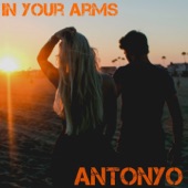 In Your Arms (Mix) artwork