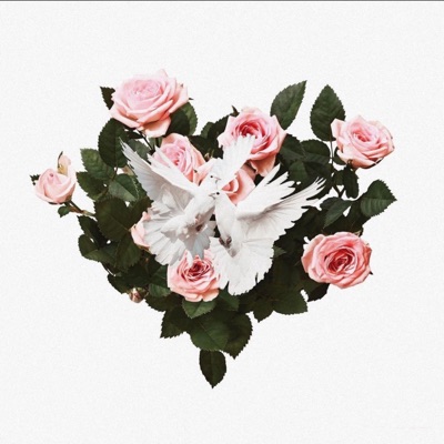 Candlelights & Funerals - Single