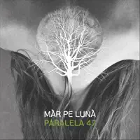 Dor nebun — Paralela 47