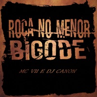 Roça no Menor Bigode (feat. Dj Canon) - Single - MC V11