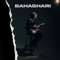 Bahaghari - Dionela lyrics