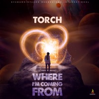 Where I'm Coming From - Torch