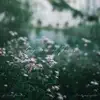 deep love of Jesus