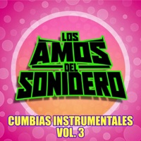 CUMBIAS INSTRUMENTALES, Vol. 3 - EP - Los Amos Del Sonidero