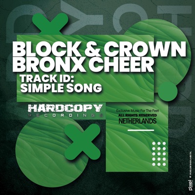 Simple Song - Single