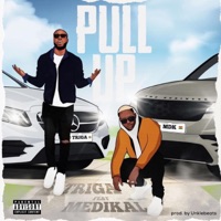 Pull Up (feat. Medikal) - Single - Trig Triga