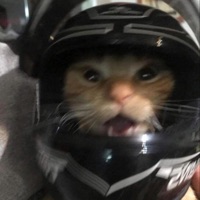 December - Single - Tayo