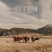 There Is Freedom artwork