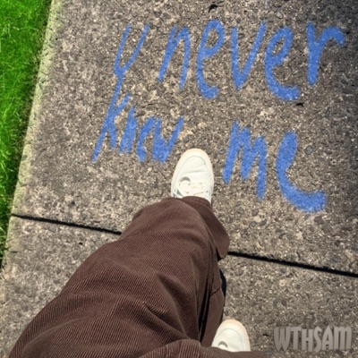 u never knew me (feat. Aidan McGuigan) - Single