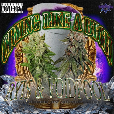 CRYING LIKE a BITCH (feat. VOIDFOOL) - Single