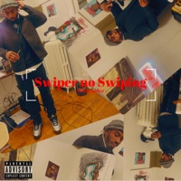 Swiper No Swiping - Single - Millionahre