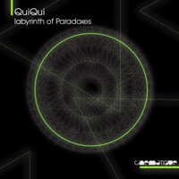 Labyrinth of Paradoxes - Single - QuiQui