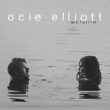 We Fall In - Ocie Elliott