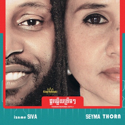 Thunder Responds Softly (feat. Seyma Thorn) - Single