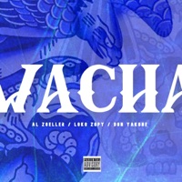 Wacha (feat. Al Zoeller, Don Yakone & Loko Zopy) - Single - Imagine Nation 914