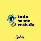 Todo Se Me Resbala (feat. Dan Solo) artwork