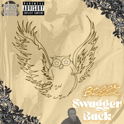 Swagger Back (feat. Pro Knows Music) [Radio Edit] [Radio Edit] - Single