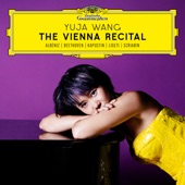 The Vienna Recital artwork