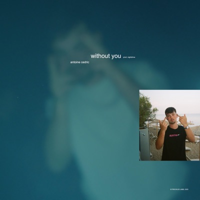 Without You - Single