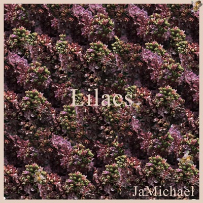 Lilacs - Single