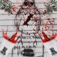 PALOMO (feat. Sly Hustler) - Single - Beza Lil Punkk & MC.BLUE