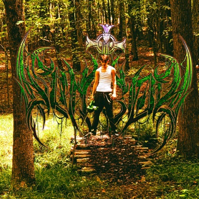 I Hear Voices - Single