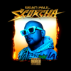 No Fear (feat. Damian "Jr. Gong" Marley & Nicky Jam) - Sean Paul