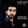 Walter Aziz