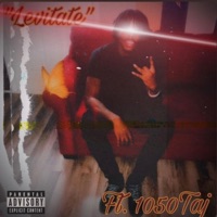 Levitate (feat. 1050Taj) - Single - Rellzooted