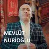 Mevlüt Nurioğlu - Baharı Görmez Oldum