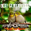 Grupo Los Pipopes - La Cumbia de los Pajaritos