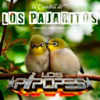 La Cumbia de los Pajaritos — Grupo Los Pipopes