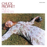 Chuck Prophet - Pin a Rose on Me